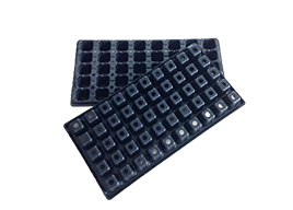 Khay ươm 50 lỗ 02