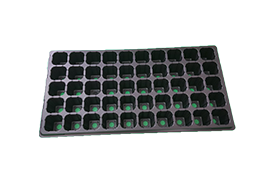 Khay ươm rau 50 lỗ